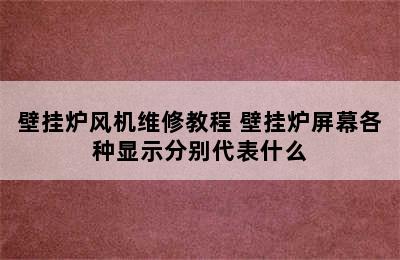 壁挂炉风机维修教程 壁挂炉屏幕各种显示分别代表什么